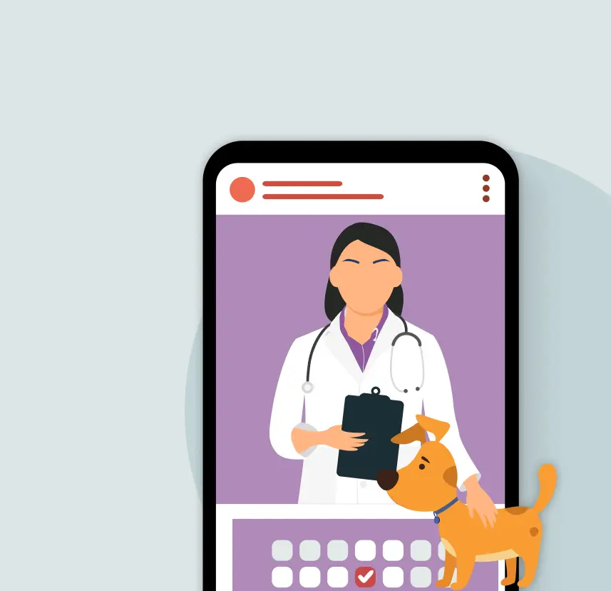 Pet Doctor appointment online